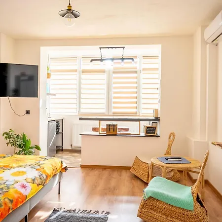 2 Vis-a-vis - Gara De Nord Apartment Bukarest